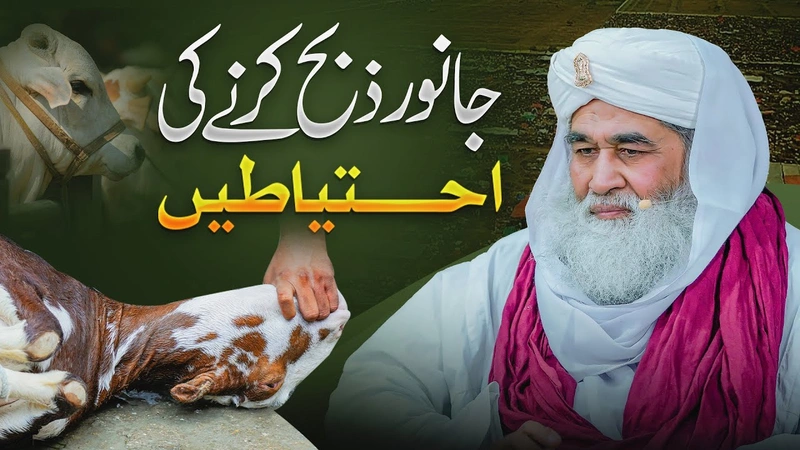 Janwar Zibah Karne Ka Tarika | Janwar Zibah Karte Waqt Kiya Ahtiyat Karen? | Bakra Eid Special 2024